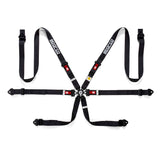 Sparco FIA Hans Endurance 6-Point Racing Harness
